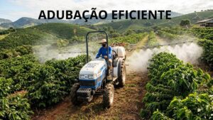 adubo para café como aplicar