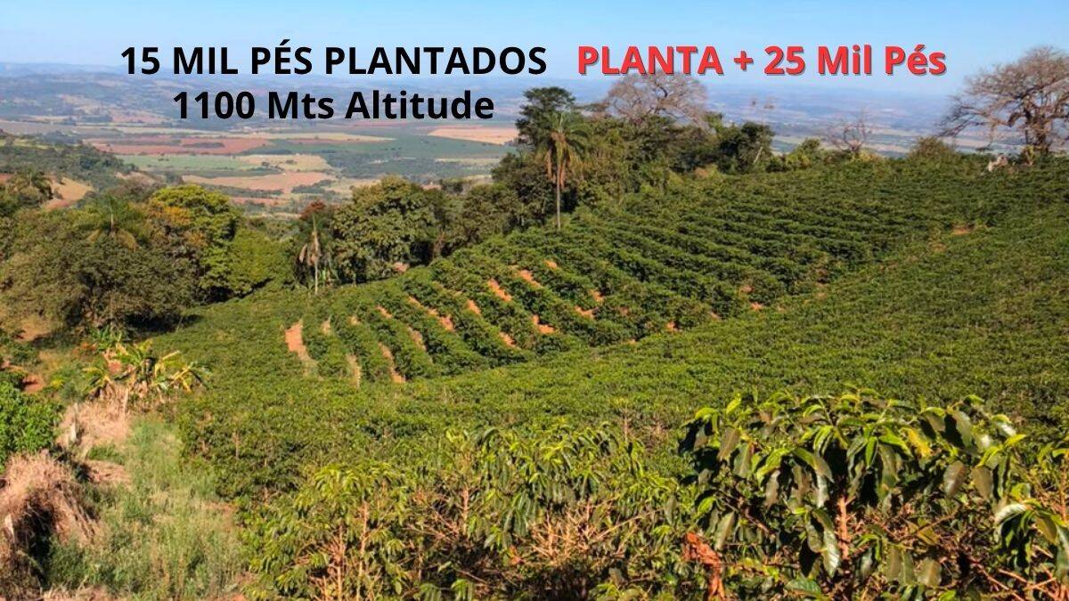 sítio de café em Monte Snto de Minas a Venda