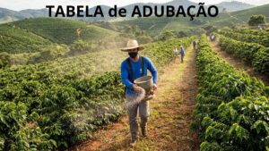 tabela de adubação de café para imprimir